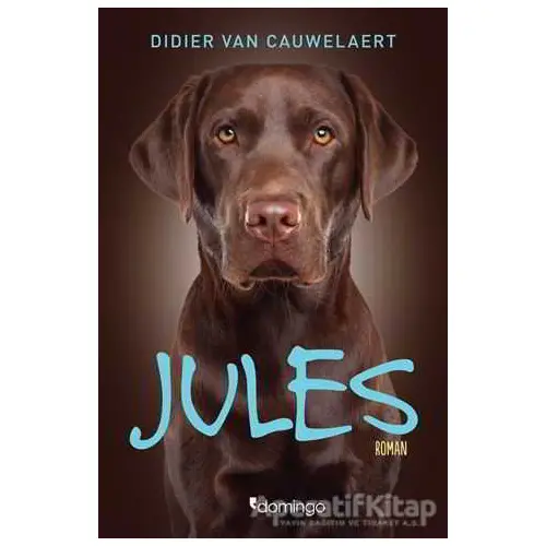 Jules - Didier von Cauwelaert - Domingo Yayınevi