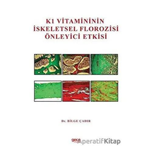 K1 Vitamininin İskeletsel Florozisi Önleyici Etkisi - Bilge Çadır - Gece Kitaplığı