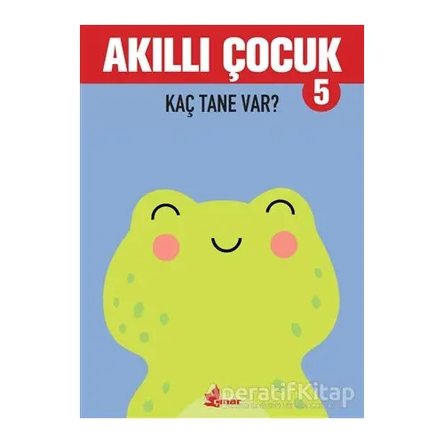 Kaç Tane Var? - Akıllı Çocuk 5 - Kolektif - Çınar Yayınları