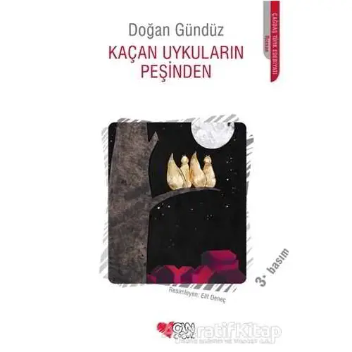 Kaçan Uykuların Peşinden - Doğan Gündüz - Can Çocuk Yayınları