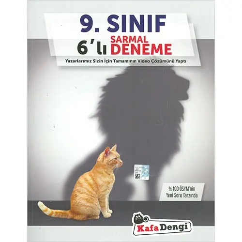 Kafa Dengi 9.Sınıf Sarmal 6lı Deneme