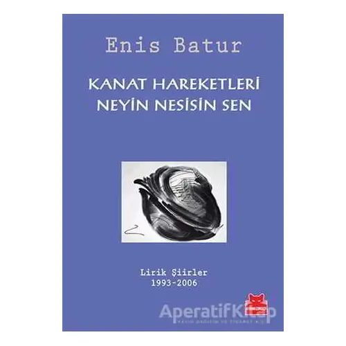 Kanat Hareketleri - Neyin Nesisin Sen - Enis Batur - Kırmızı Kedi Yayınevi