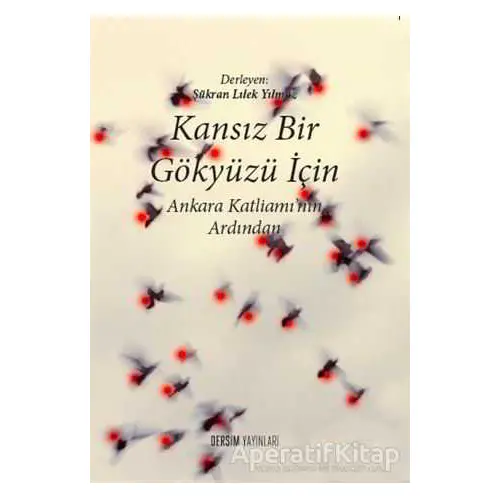 Kansız Bir Gökyüzü İçin - Şükran Lılek Yılmaz - Dersim Yayınları