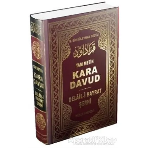 Kara Davud - Delail-i Hayrat Şerhi (Şamua)