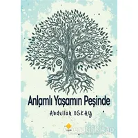 Anlamlı Yaşamın Peşinde - Abdullah Oskay - Duvar Kitabevi