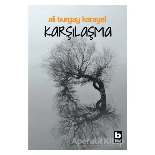 Karşılaşma - Ali Turgay Karayel - Bilgi Yayınevi