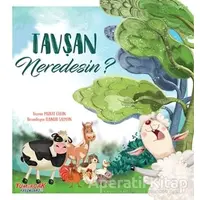 Tavşan Neredesin? - Murat Cihangir - Yumurcak Yayınları