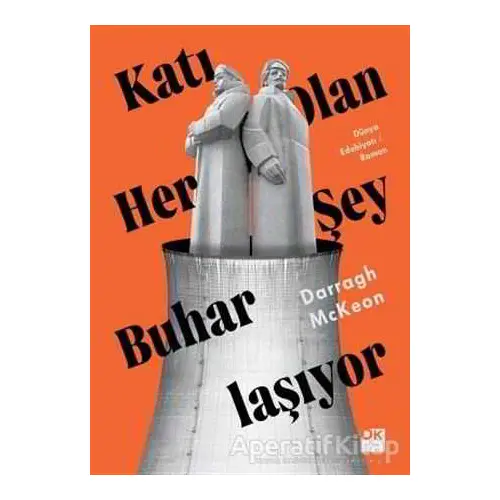 Katı Olan Her Şey Buharlaşıyor - Darragh McKeon - Doğan Kitap