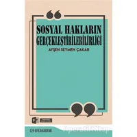 Sosyal Hakların Gerçekleştirilebilirliği - Ayşen Seymen Çakar - Efe Akademi Yayınları