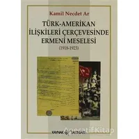 Türk-Amerikan İlişkileri Çerçevesinde Ermeni Meselesi (1918-1923)