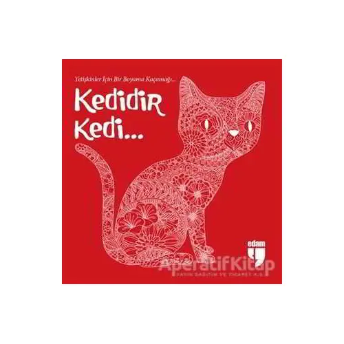 Kedidir Kedi - Kolektif - EDAM