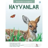 İlk Sorular ve Cevaplarla Hayvanlar - Jinny Johnson - Almidilli