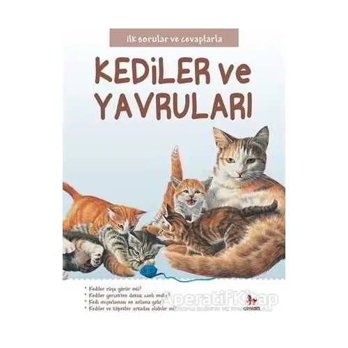 Kediler ve Yavruları - İlk Sorular ve Cevaplarla - Camilla de la Bedoyere - Almidilli