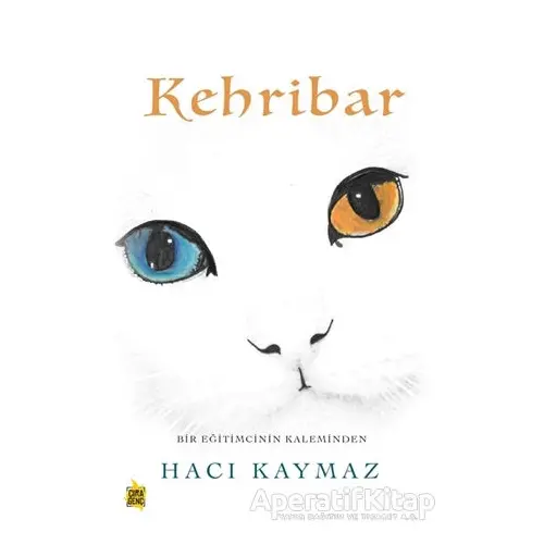 Kehribar - Hacı Kaymaz - Çıra Yayınları