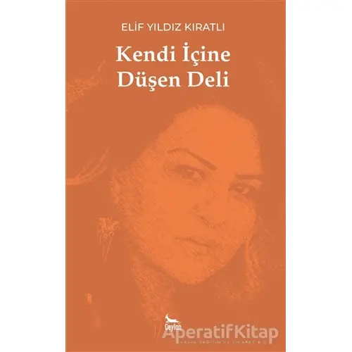 Kendi İçine Düşen Deli - Elif Yıldız Kıratlı - Ceylan Yayınları