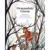 Ormandaki Gizem - Susanna Isern - Hippo Yayınları