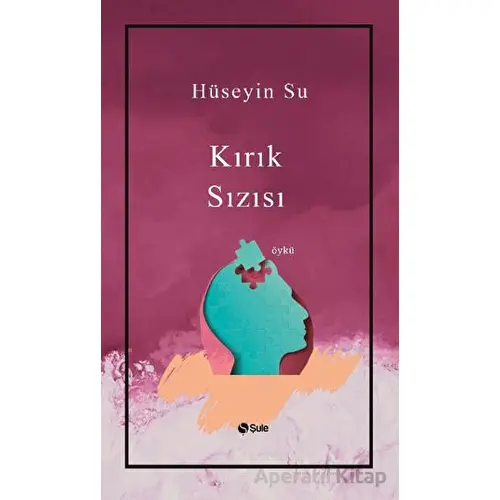 Kırık Sızısı - Hüseyin Su - Şule Yayınları