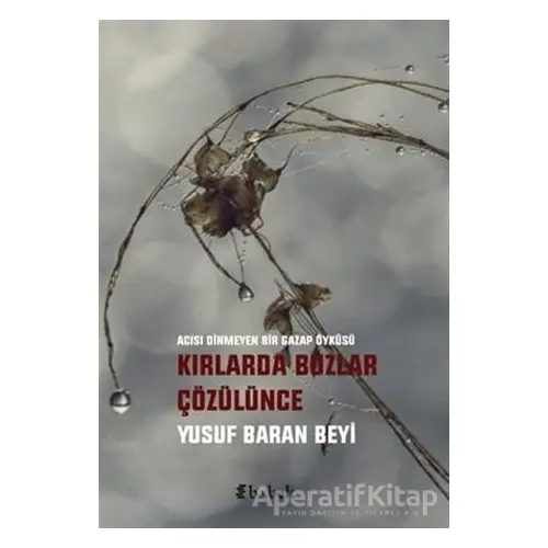 Kırlarda Buzlar Çözülünce - Yusuf Baran Beyi - Babek Yayınları