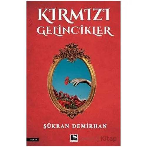 Kırmızı Gelincikler - Şükran Demirhan - Çınaraltı Yayınları