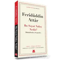 Bu Soyut Nakış Nedir? - Feridüddin Attar - Kırmızı Kedi Yayınevi