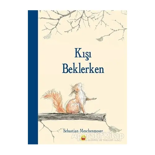 Kışı Beklerken - Sebastian Meschenmoser - Kuraldışı Yayınevi