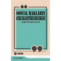 Sosyal Hakların Gerçekleştirilebilirliği - Ayşen Seymen Çakar - Efe Akademi Yayınları