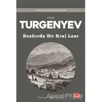 Bozkırda Bir Kral Lear - Ivan Sergeyevich Turgenev - Kırmızı Kedi Yayınevi