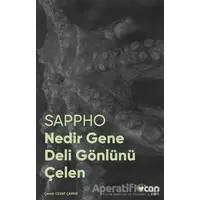 Nedir Gene Deli Gönlünü Çelen - Sappho - Can Yayınları