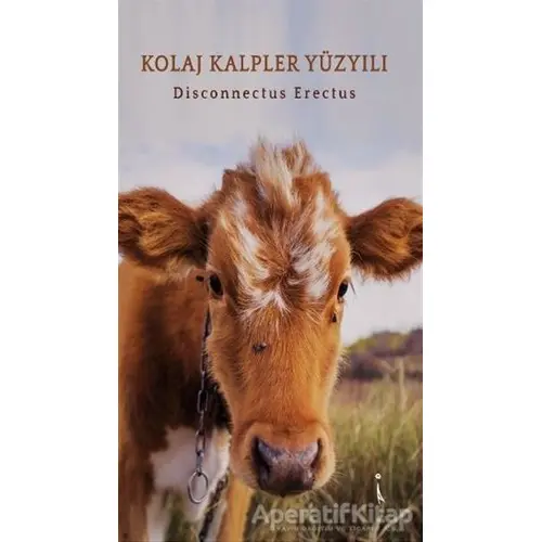 Kolaj Kalpler Yüzyılı - Disconnectus Erectus - İkinci Adam Yayınları