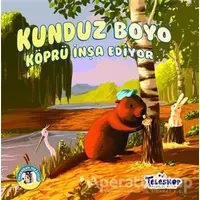 Kunduz Boyo Köprü İnşa Ediyor - Ormandan Hikayeler - Kolektif - Teleskop Popüler Bilim