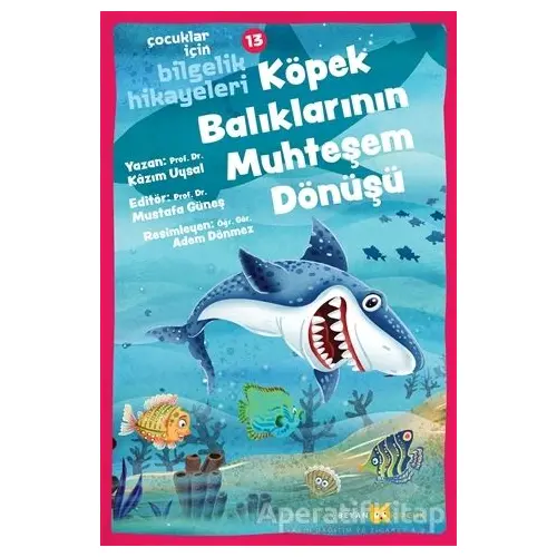 Köpek Balıklarının Muhteşem Dönüşü - Çocuklar İçin Bilgelik Hikayeleri 13