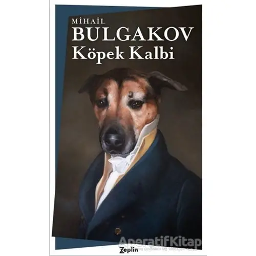 Köpek Kalbi - Mihail Afanasyeviç Bulgakov - Zeplin Kitap