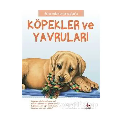 Köpekler ve Yavruları - İlk Sorular ve Cevaplarla - Camilla de la Bedoyere - Almidilli