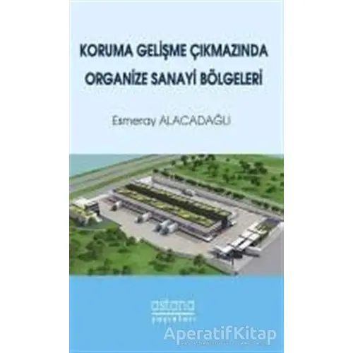 Koruma Gelişme Çıkmazında Organize Sanayi Bölgeleri - Esmeray Alacadağlı - Astana Yayınları
