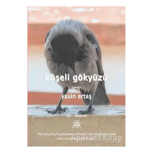 Köşeli Gökyüzü - Yasin Ertaş - Artshop Yayıncılık