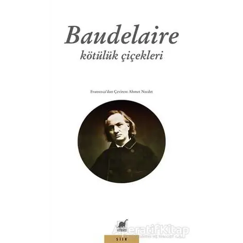 Kötülük Çiçekleri - Charles Baudelaire - Ayrıntı Yayınları