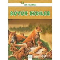 Büyük Kediler - İlk Hazinem - Denise Ryan - 1001 Çiçek Kitaplar