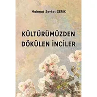 Kültürümüzden Dökülen İnciler - Mahmut Şevket Serik - Platanus Publishing