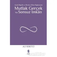 Mutlak Gerçek ve Sonsuz İmkan - Ali Sebetci - İnsan Yayınları