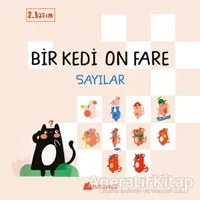 Bir Kedi On Fare - Sayılar - Duygu Yardımcı - Kumdan Kale