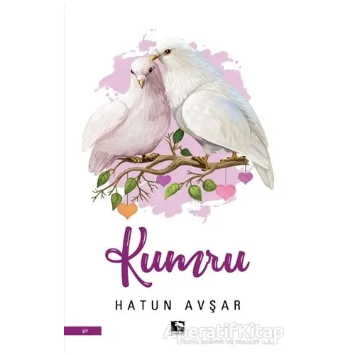 Kumru - Hatun Avşar - Çınaraltı Yayınları