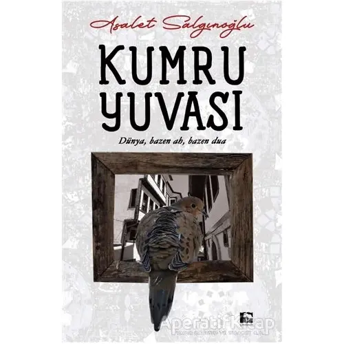 Kumru Yuvası - Asalet Salgınoğlu - Çınaraltı Yayınları