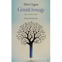 Gönül Irmağı - Ebru Uygun - Cinius Yayınları