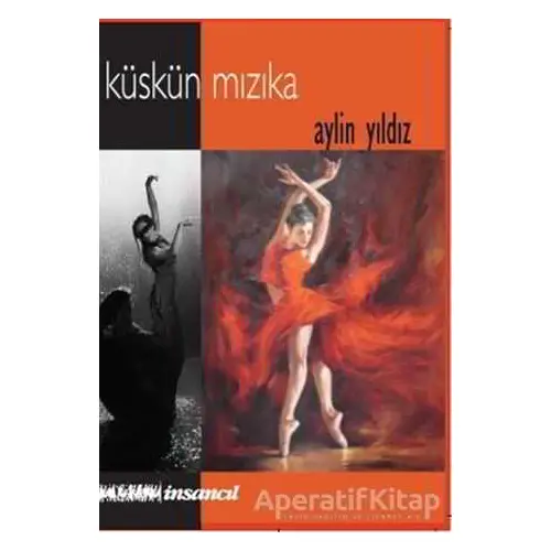 Küskün Mızıka - Aylin Yıldız - İnsancıl Yayınları