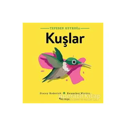 Kuşlar - Tepeden Kuyruğa - Stacey Roderick - Domingo Yayınevi