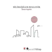 Bilirkişiler Beklenir - Hasan Özpolat - Lakin Yayınları