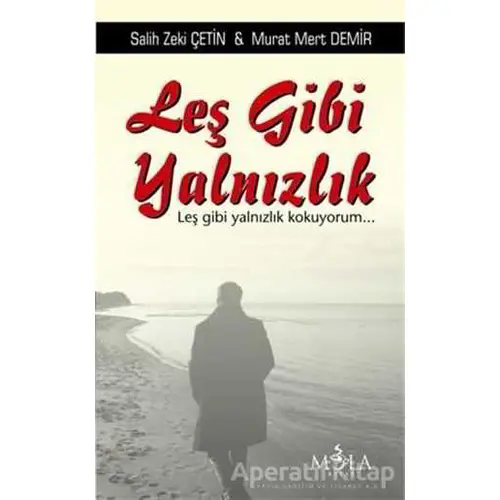 Leş Gibi Yalnızlık - Salih Zeki Çetin - Mola Kitap