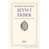 Şeyh-i Ekber İbn Arabi Düşüncesine Giriş - Mahmud Erol Kılıç - Sufi Kitap