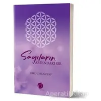 Sayıların Ardındaki Sır - Ebru Ceylan Çap - Herdem Kitap