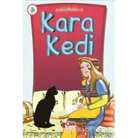 Kara Kedi - Derleme - Çilek Kitaplar